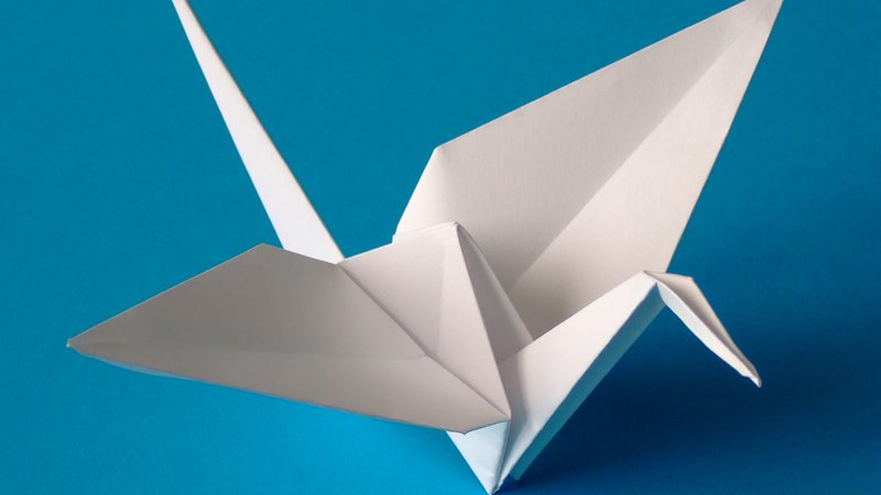 Origami Workshop by Thotfy | Creative Paper Folding Experience in India 2026
