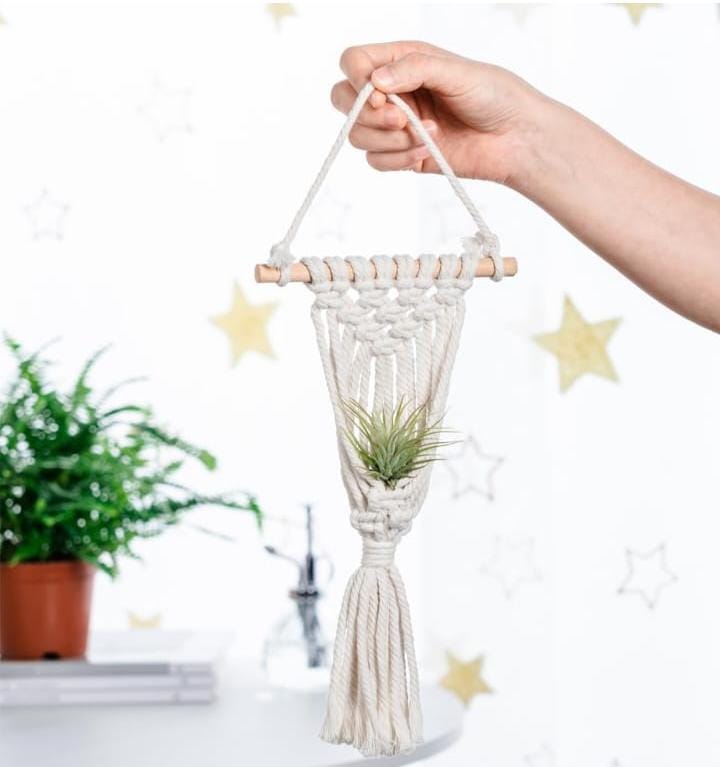 Macrame Wall Hanger Planter | Handwoven Cotton Cord | Bulk Gifting & Return Favors