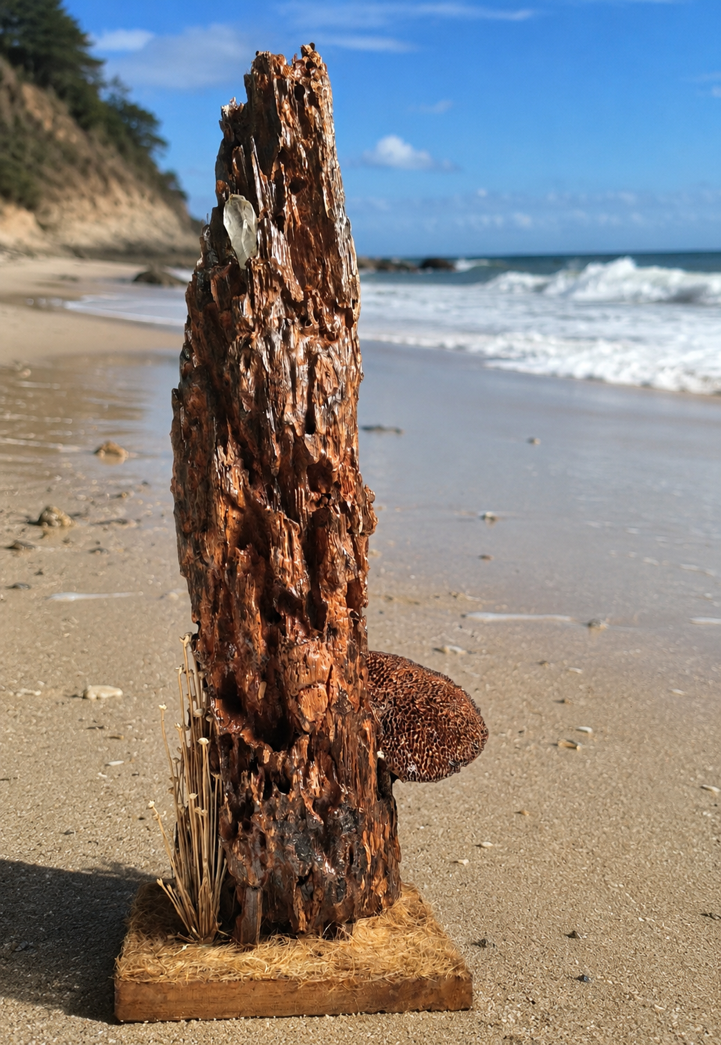 Natural Driftwood Crystal Sculpture – Handmade Rustic Wooden Table Decor | 15" Nature Art for Living Room, Office & Shelf
