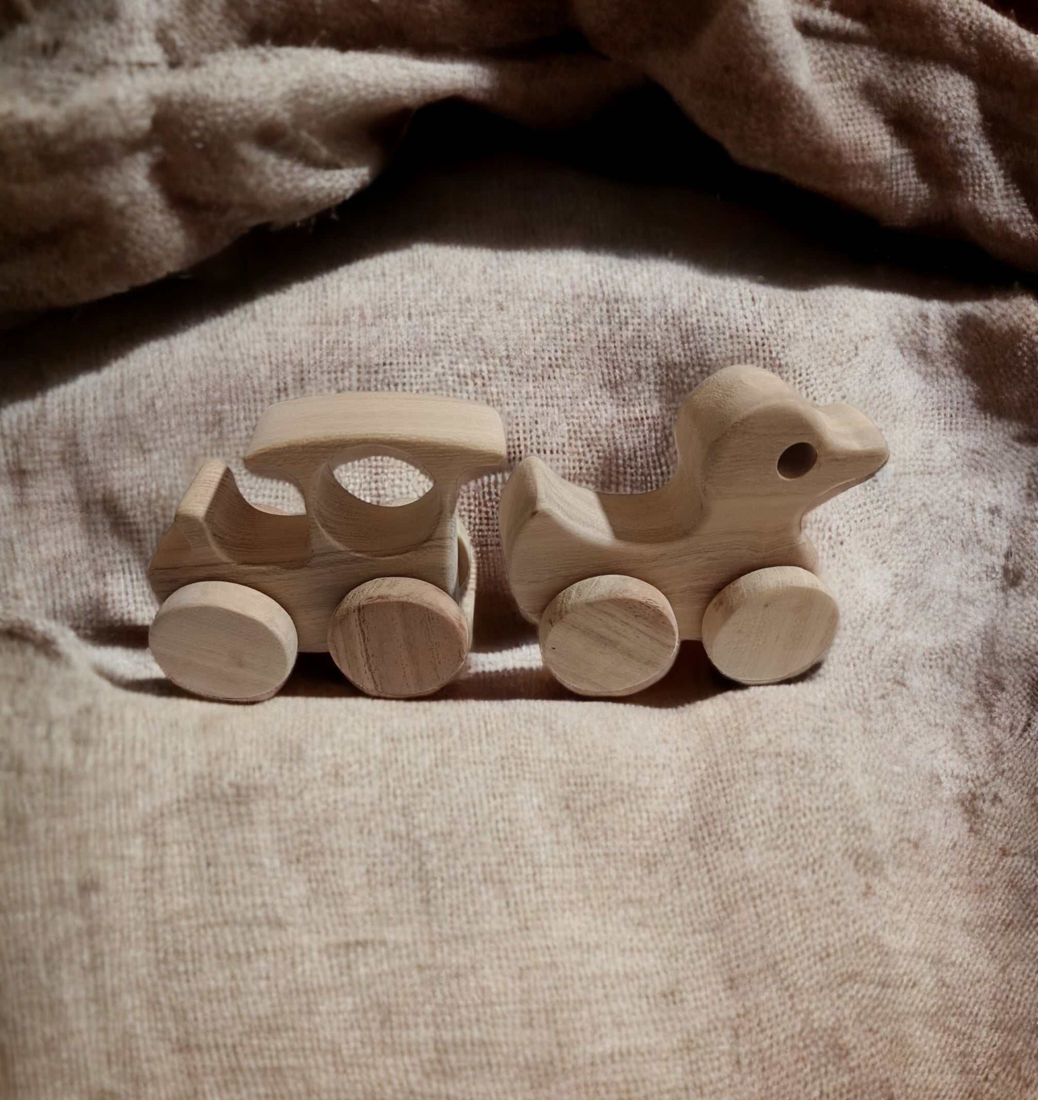 Neem Wooden Wheel Toys Pack of 2 – Train & Duck Shapes | Antibacterial Baby Toy